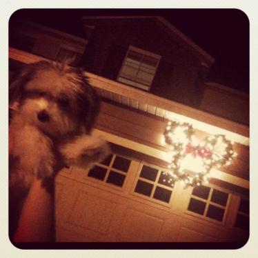 Winnie and the Minnie Wreath