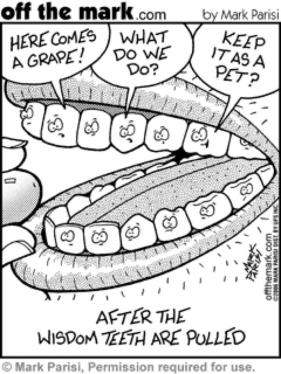 Wisdom Teeth Cartoon